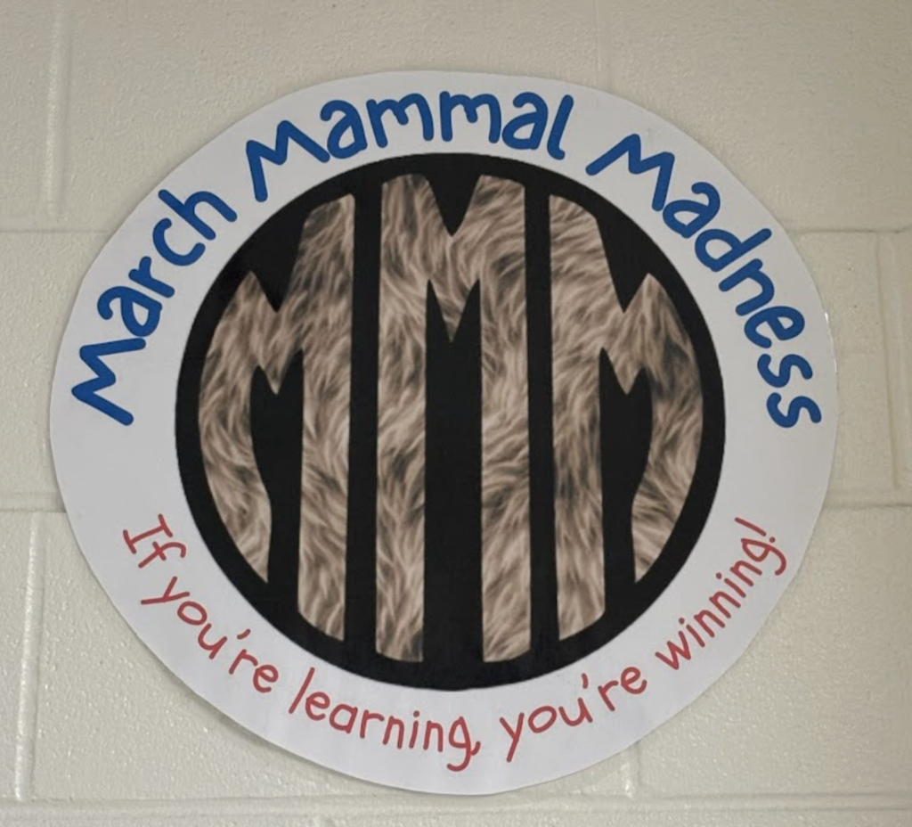 March Mammal Madness If you're learning, you're winning!