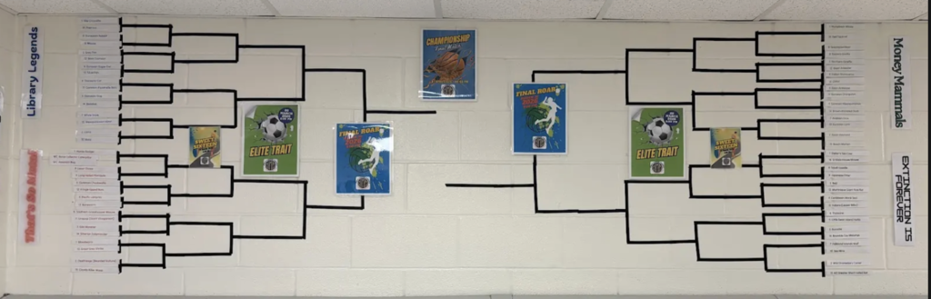 hallway bracket