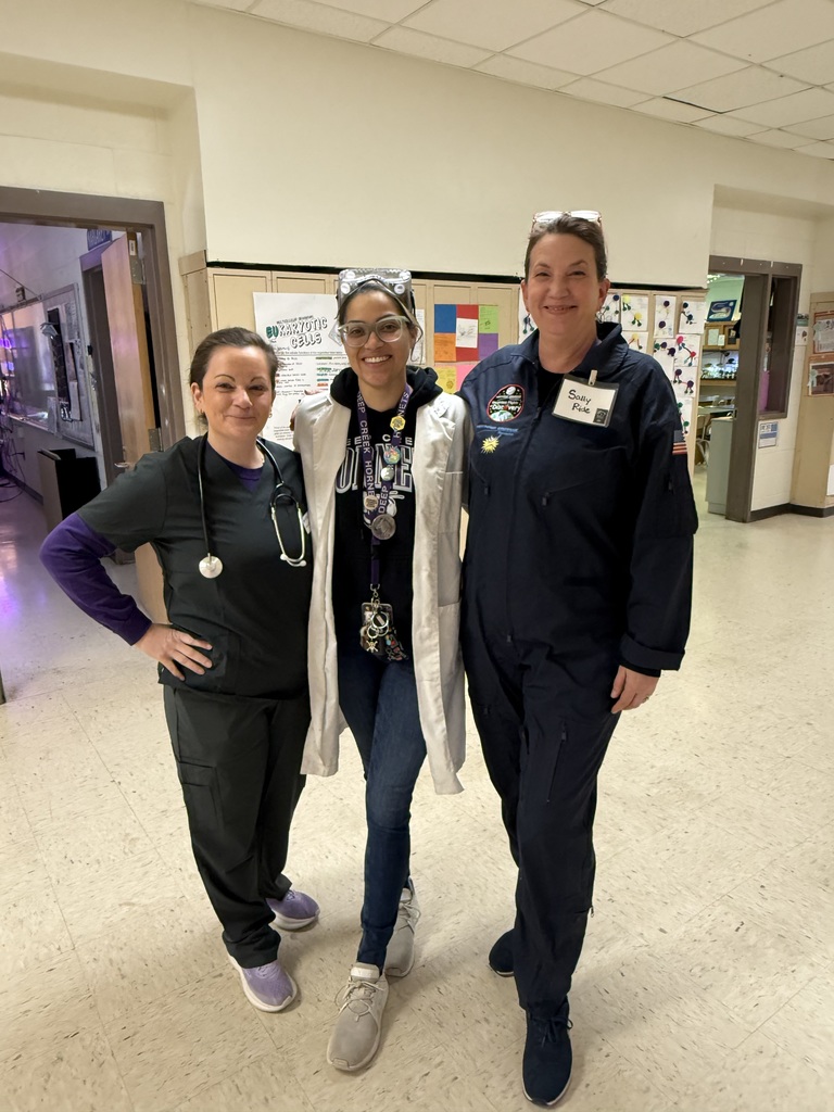 Pic of Teachers dressed up for Aspiring Women Day 