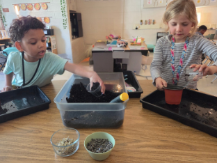 Two students planting seeds in a classroom. 