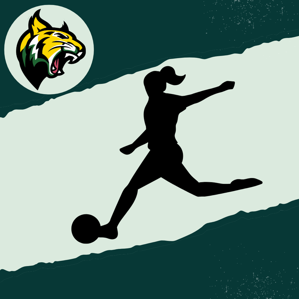 Girls soccer player graphic