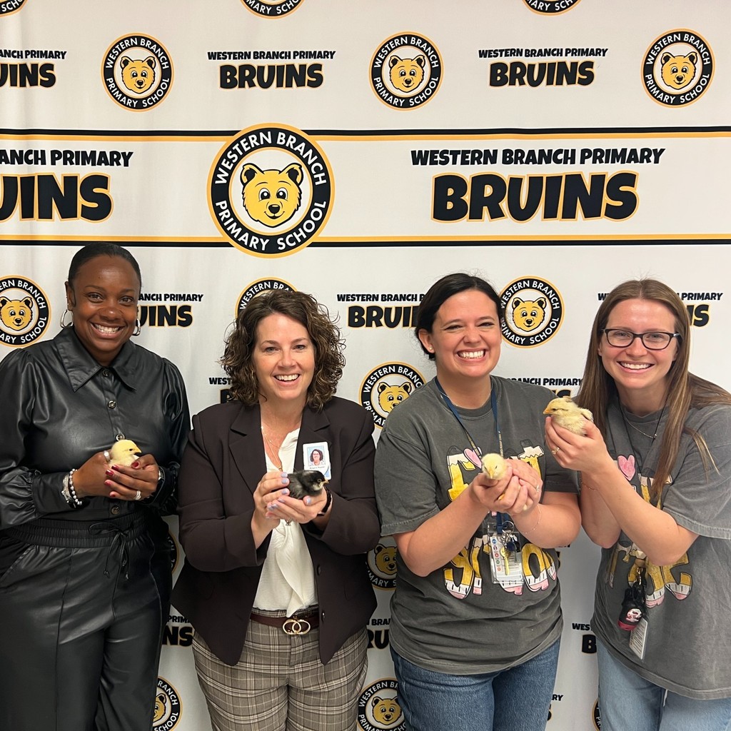 Baby Chickens held by staff members
