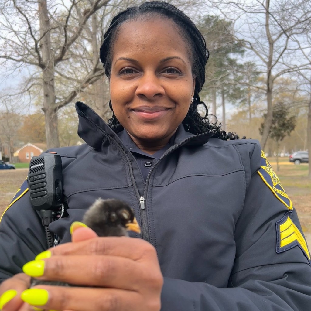School Deputy Officer holding a sleeping chicken