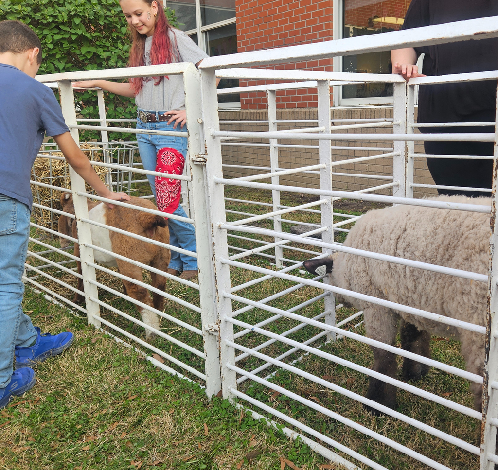 farm animals at STREAM night