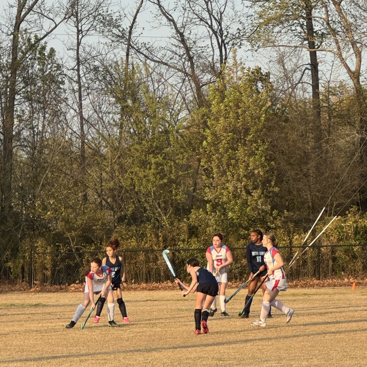 girls playing field hockey