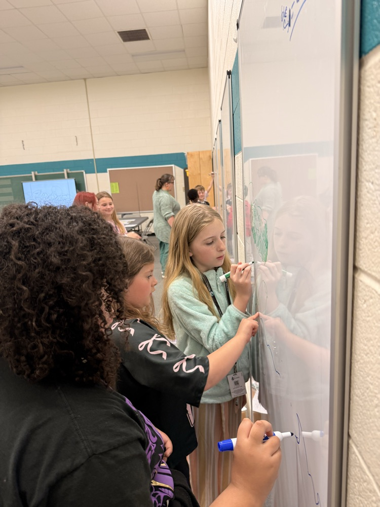 Students create a visual diagram on a whiteboard to explain the concept “we all live downstream” and how ecosystems are connected.