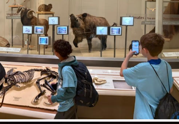 A close-up of a small group of students looking at an exhibit
