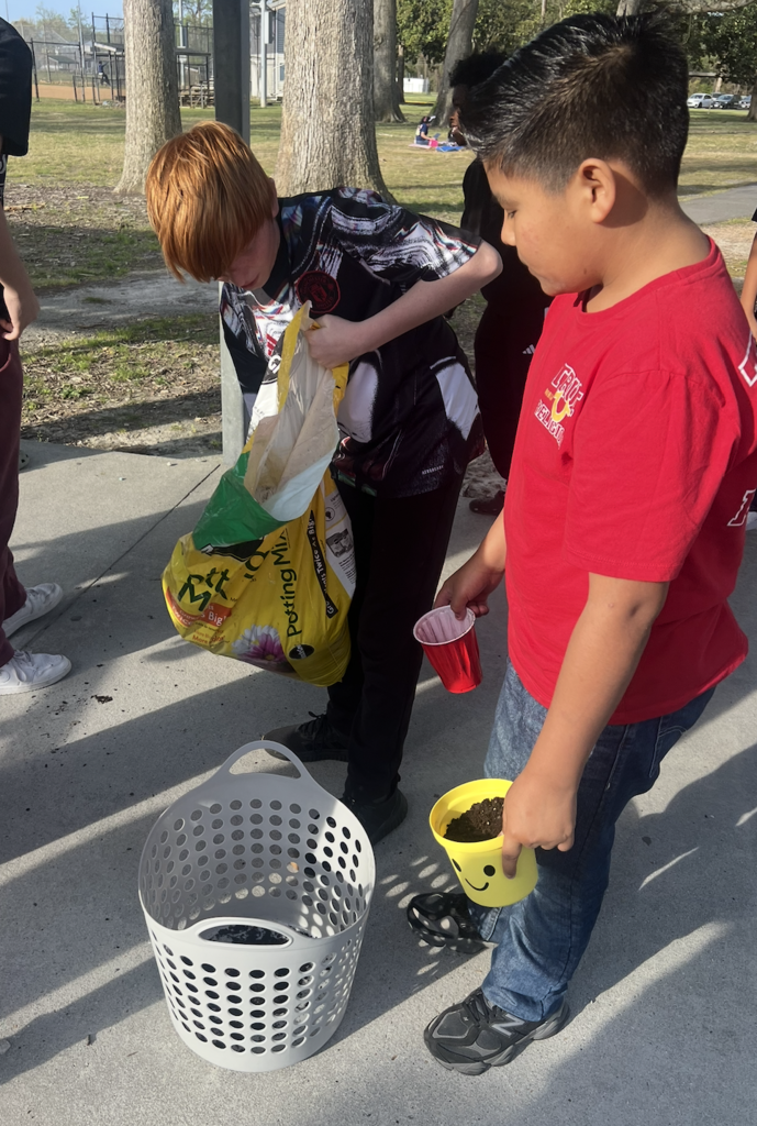 students working together to plant potatoes