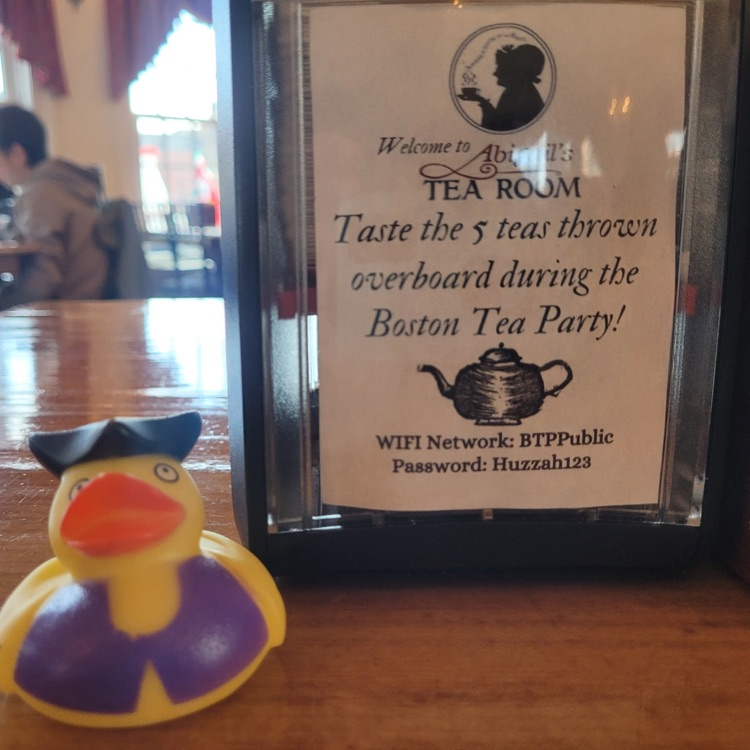 Boston duck