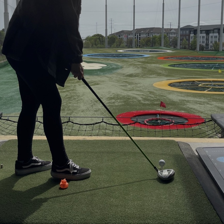 golf duck
