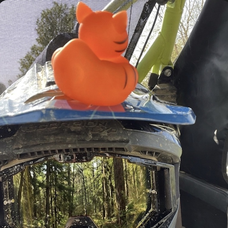 four wheeling duck