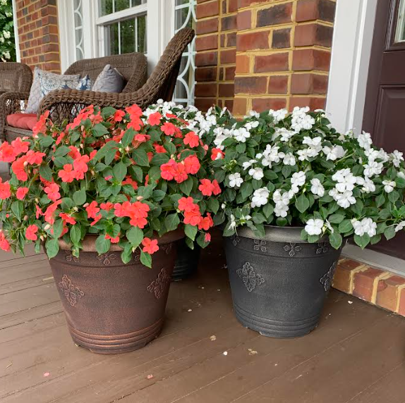 Flowers in pots