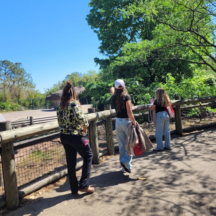 zoo field trip 