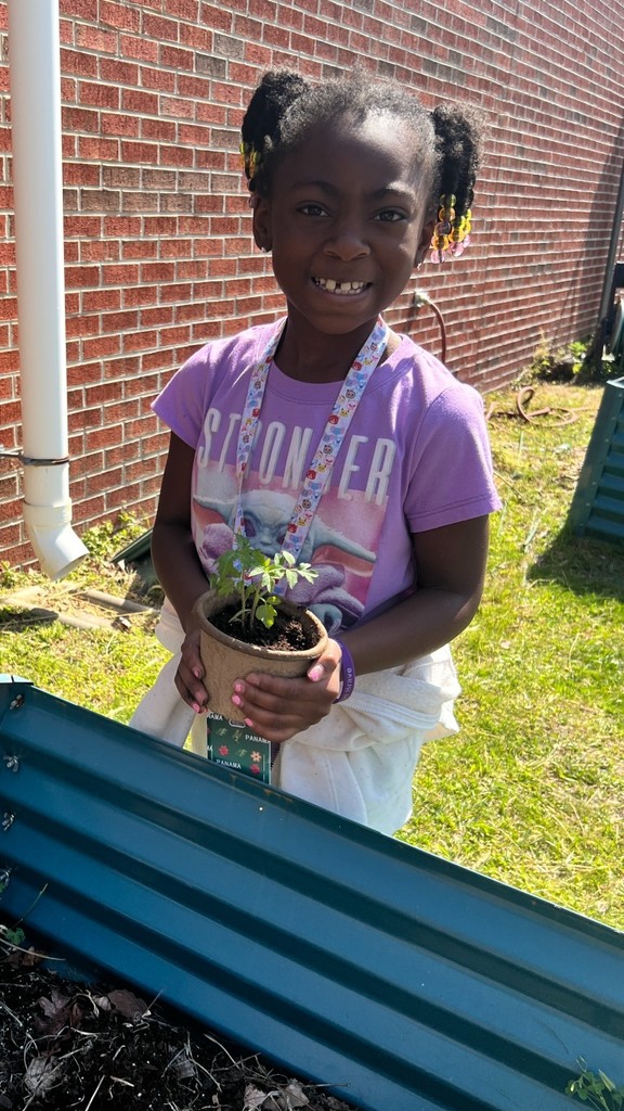 Earth Day: Student planting a tomato