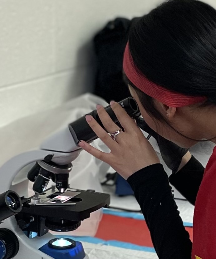Student viewing blood under the microscope