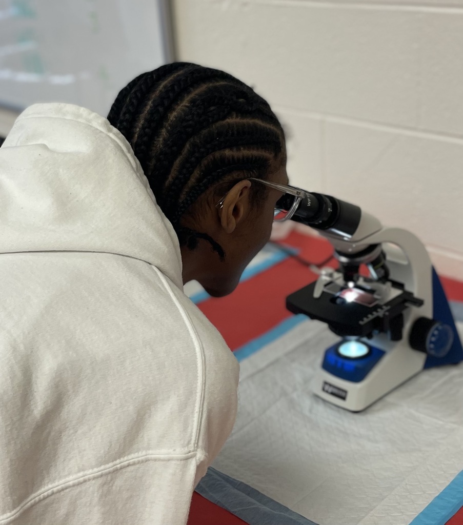 Student viewing blood under the microscope