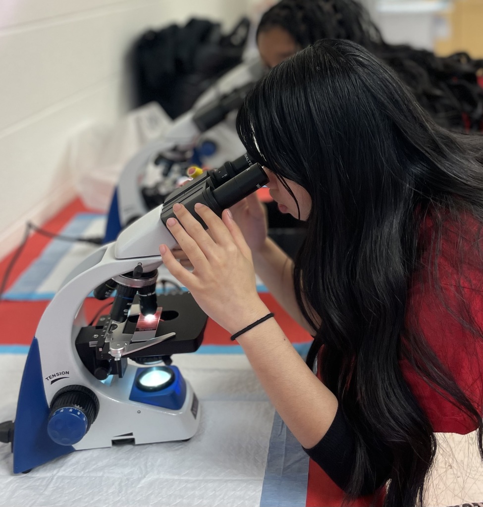 Student viewing blood under the microscope