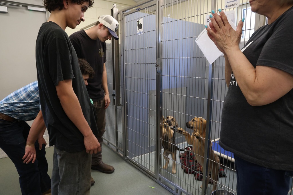 CCC students deliver benches to the Chesapeake Humane Society and everyone gathers to celebrate