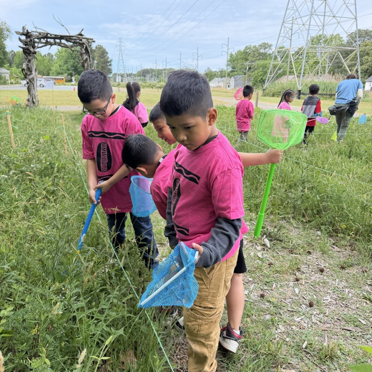1st graders catching bugs with large nets