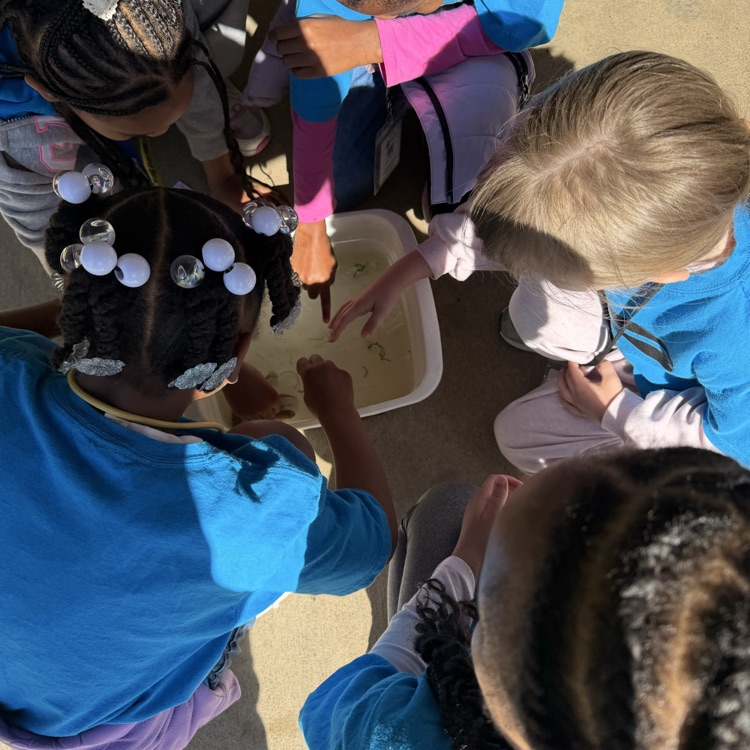 1st grade students exploring nature