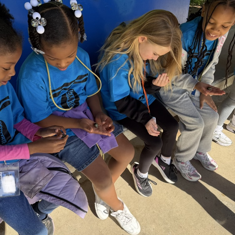 1st grade students exploring nature