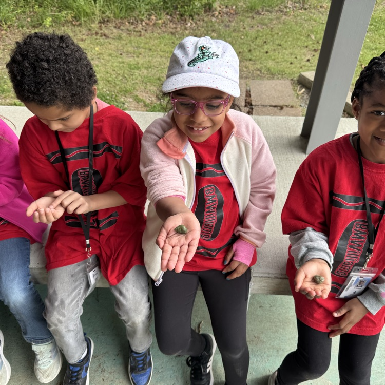 1st grade students exploring nature