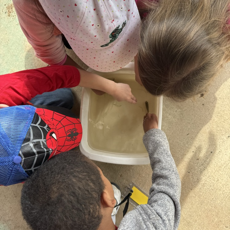 1st grade students exploring nature