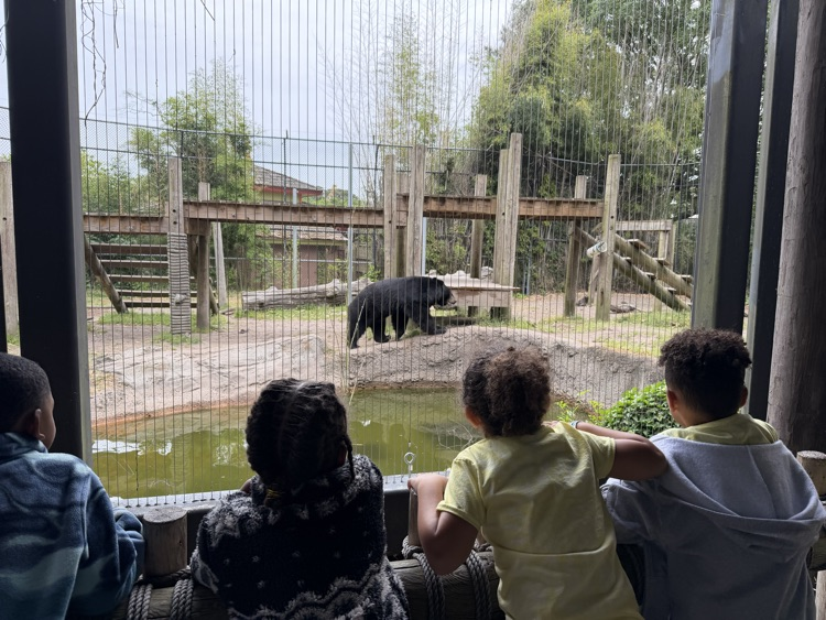zoo