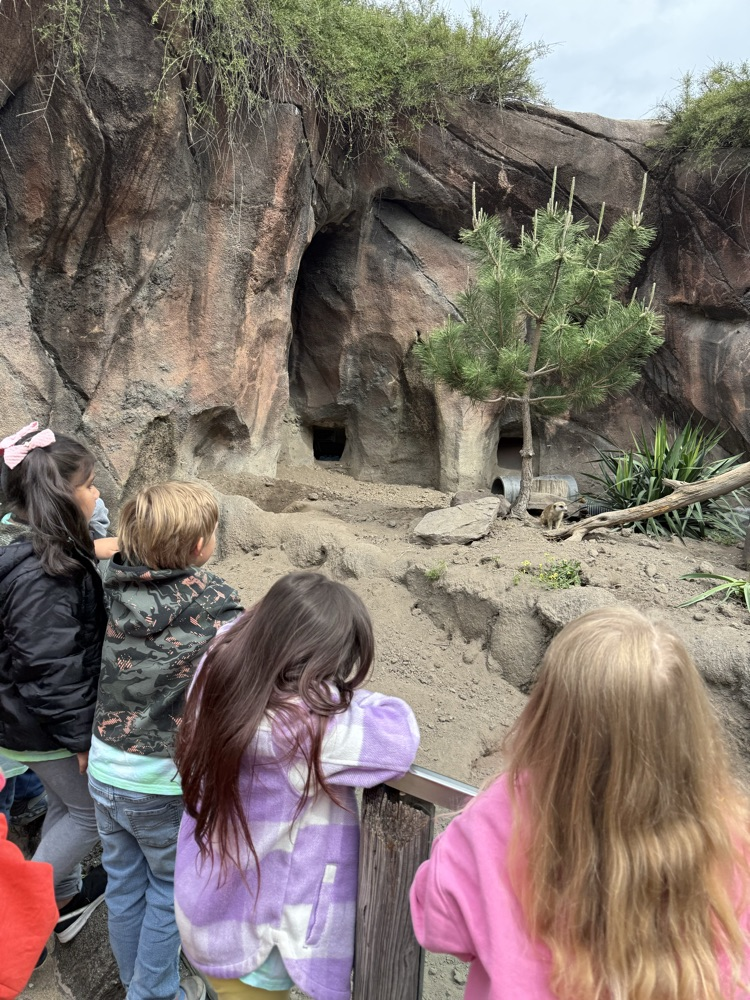 zoo