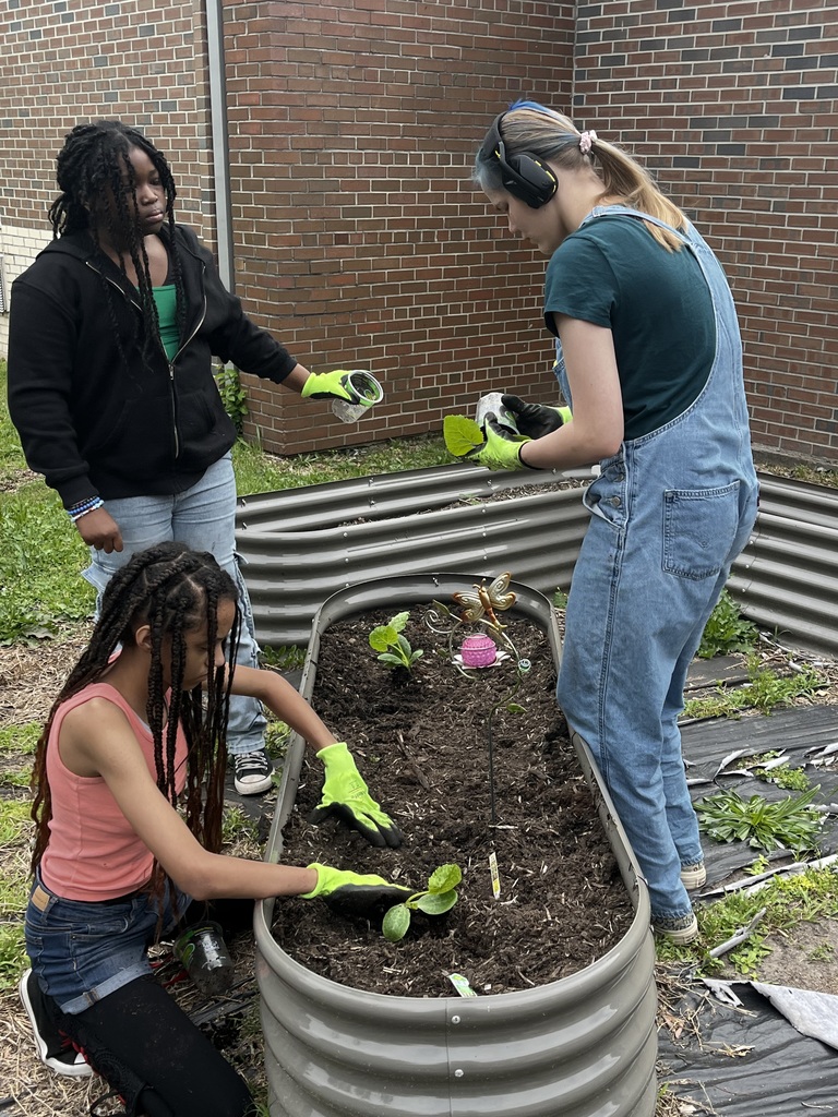Three students digging and planting in our school garden