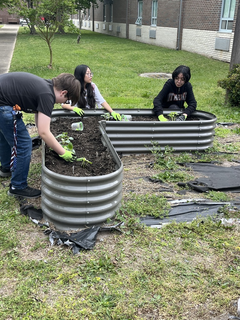 Three students digging and planting in our school garden