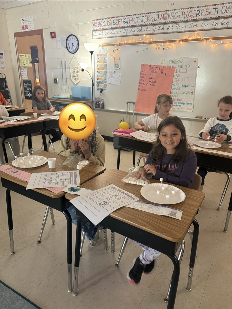 Mrs. Charlton's Class creating plane and solid figures with toothpicks and marshmallows. So much fun!  