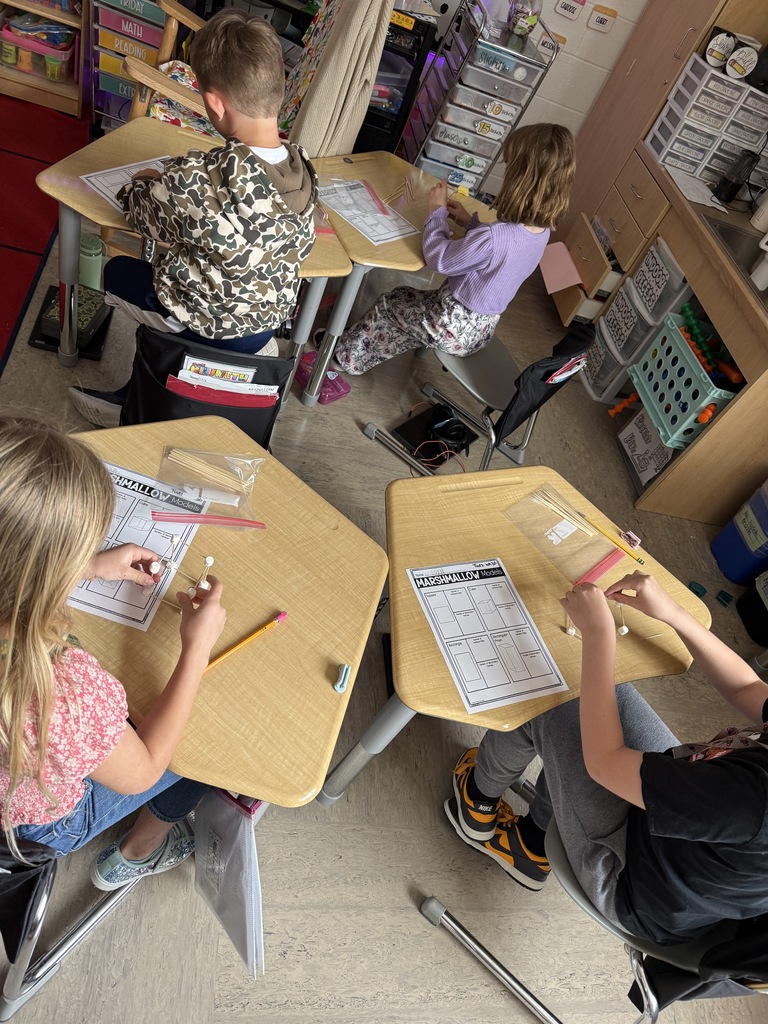 Two students carefully building a model of a cube using connected toothpicks and marshmallows. 