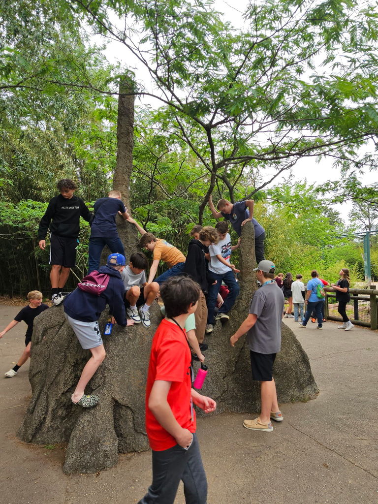students climbing on a feature at the zoo