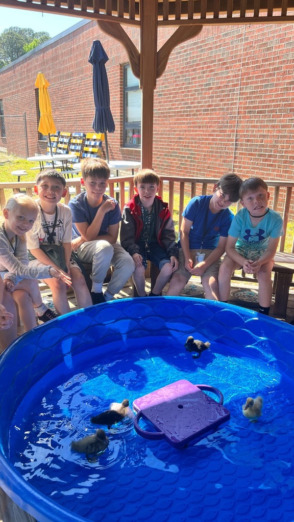 Mutter's class with Baby Ducks