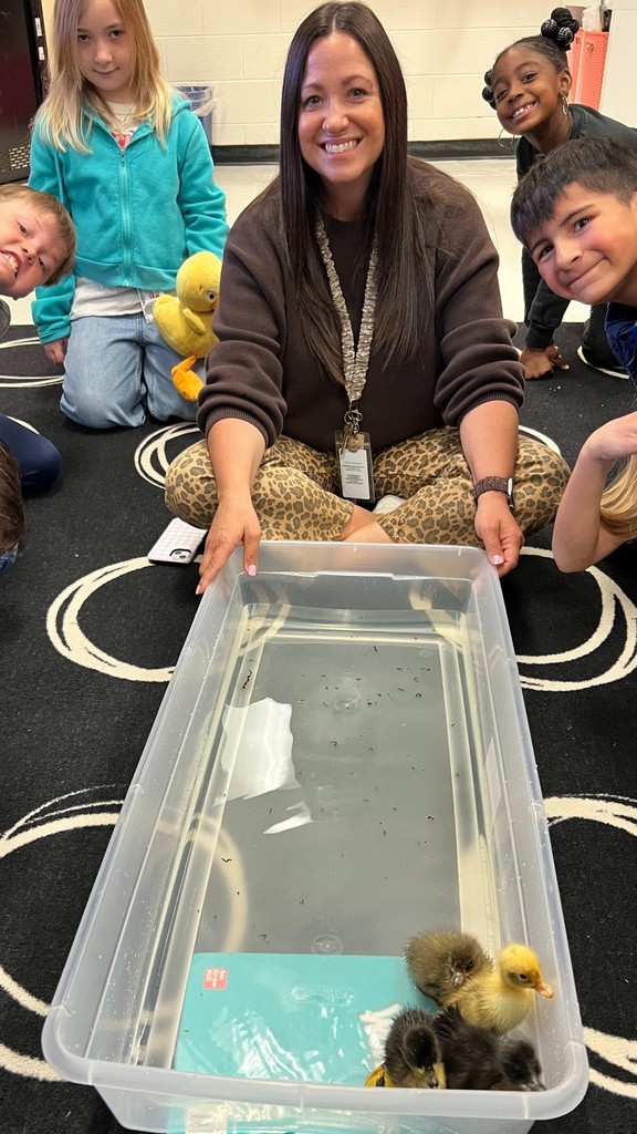 Mutter's class with Baby Ducks