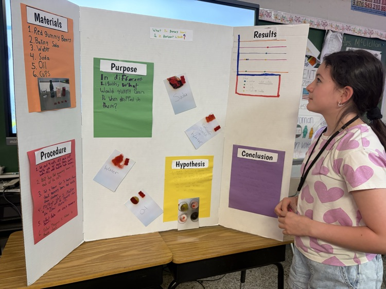 McClellan science fair 