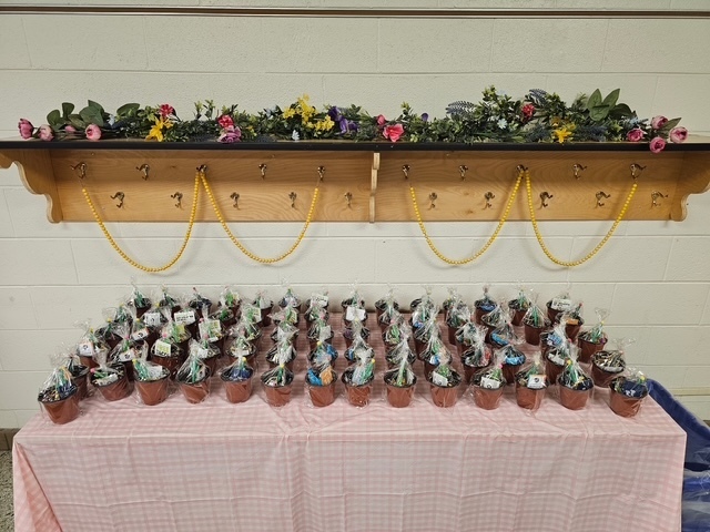 Display of gifts, planters with seeds, for the staff.