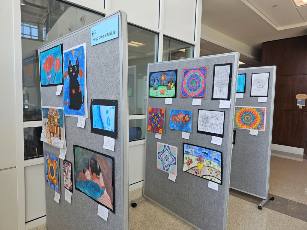 Secondary art show is on display at TCC Chesapeake with a varitey of mediums. 