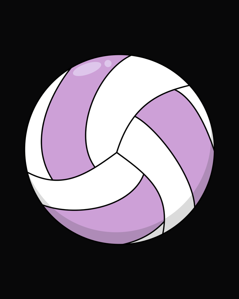 Purple and white volleyball
