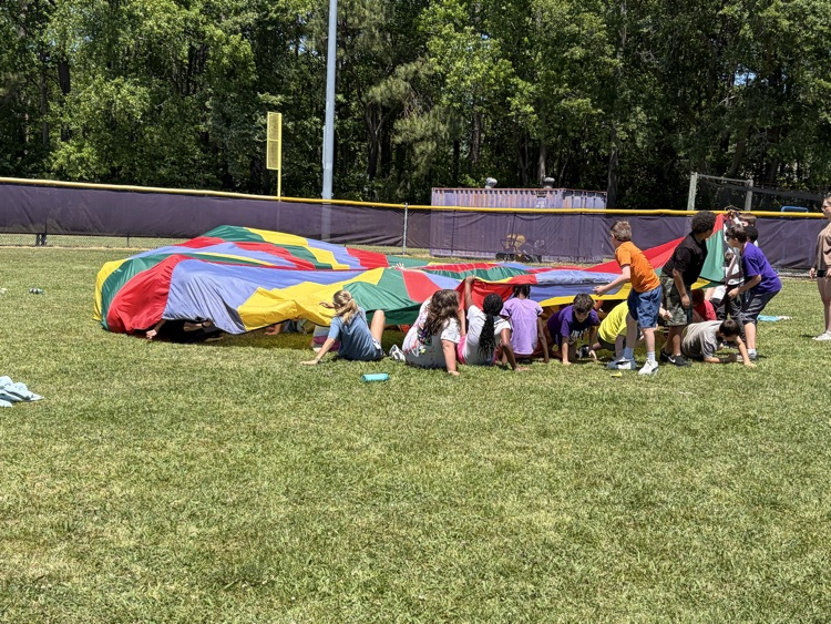 field day