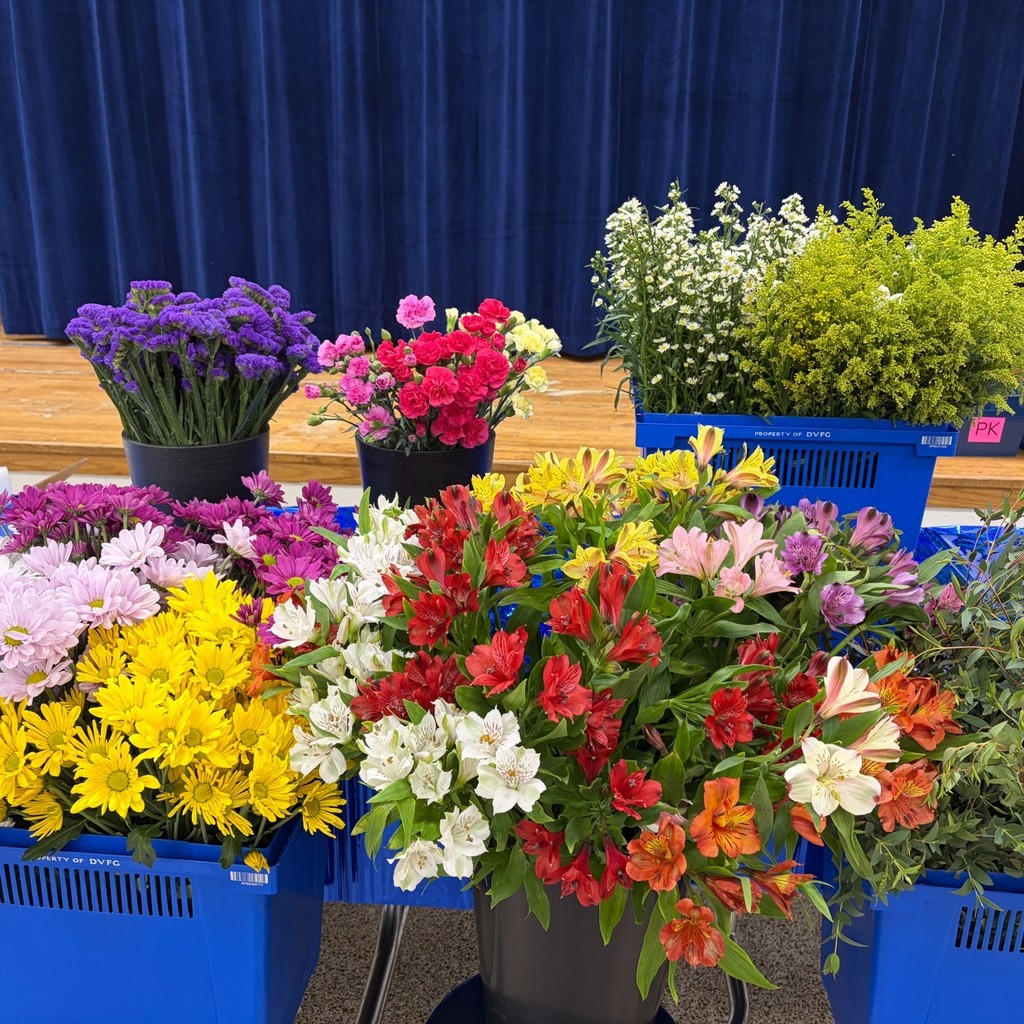 Flower arrangements