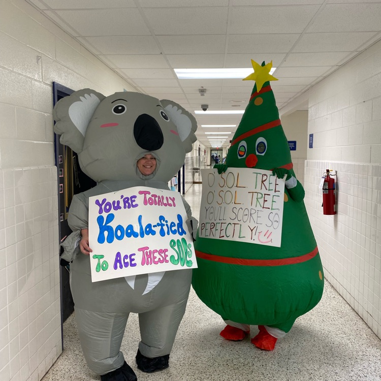 koala and tree blow up with SOL signs.