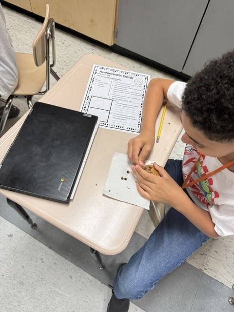 Fifth-grade student using a toothpick to carefully extract chocolate chips from cookies during a science lab.