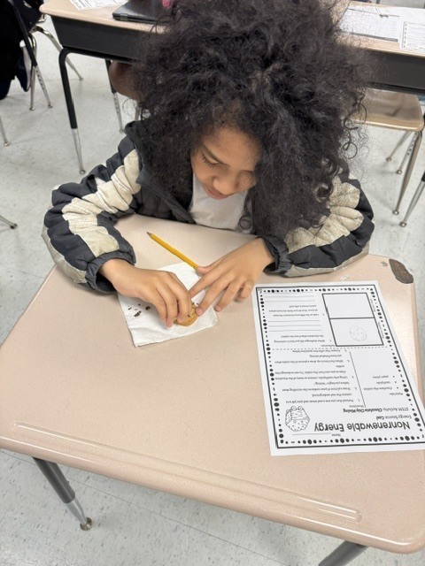 Fifth-grade student using a toothpick to carefully extract chocolate chips from cookies during a science lab.