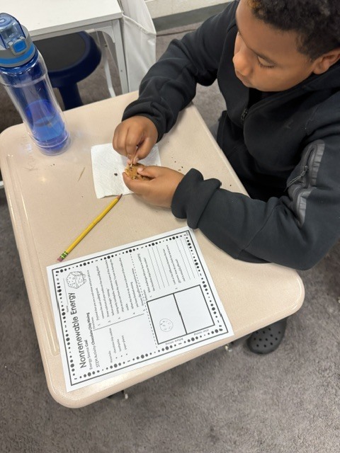 Fifth-grade student using a toothpick to carefully extract chocolate chips from cookies during a science lab.