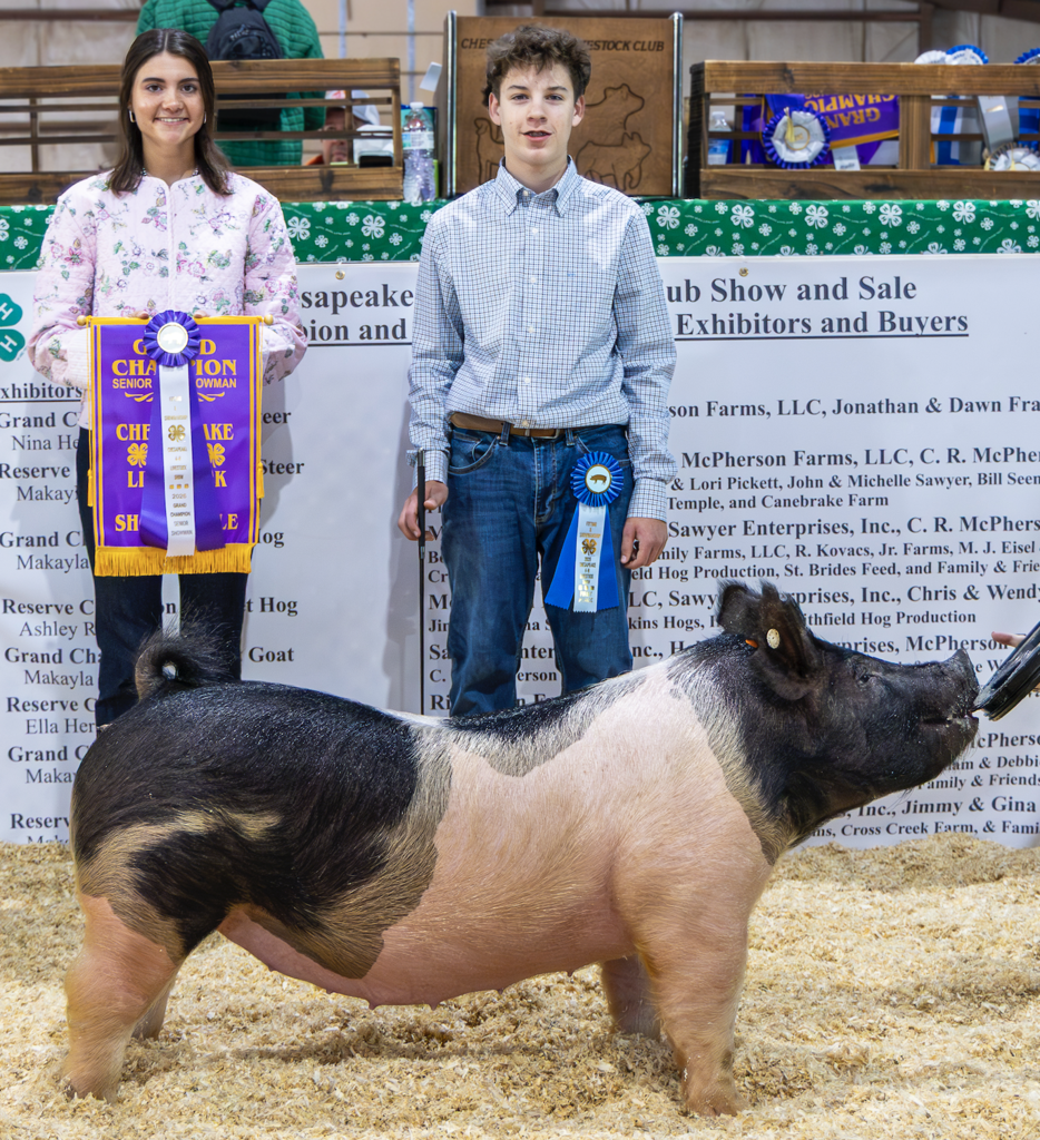 Student smiling behind his prize winning hog at the local 4-H competition