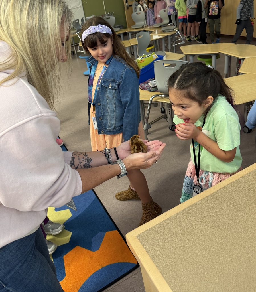 Student excitedly seeing a chick for the first time