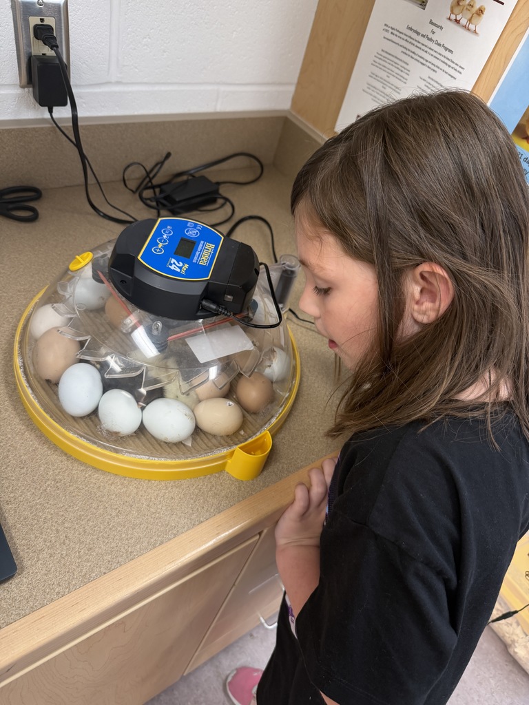 Student looking in the incubator