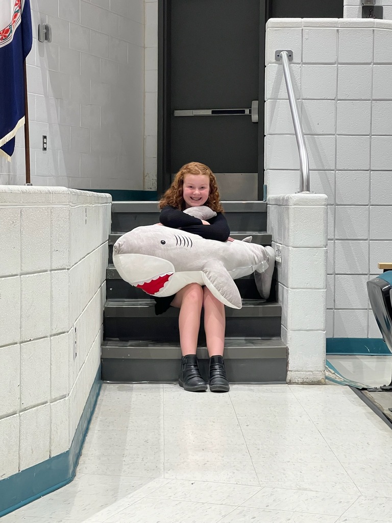 Student sitting with a shark.